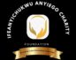 Ifeanyichukwu Anyiego Charity